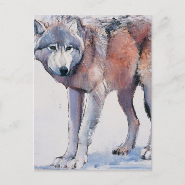 Edge 2001 postkarte (Vorderseite)