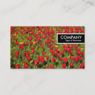 Edge-Tag - Bed of Tulips Visitenkarte