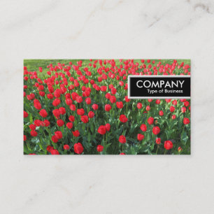 Edge-Tag - Bett der Roten Tulips 01 Visitenkarte