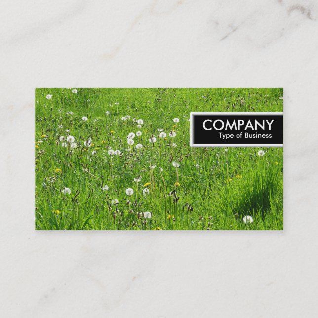 Edge-Tag - Dandelion Meadow 02 Visitenkarte (Vorderseite)