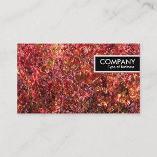 Edge-Tag - Herbstlemme Visitenkarte