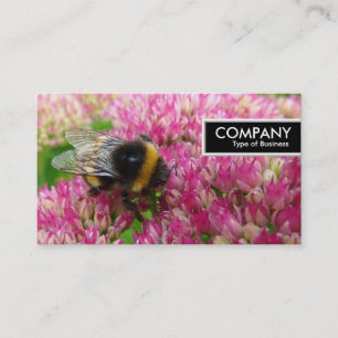 Edge-Tag - Hummel-Biene auf See Visitenkarte