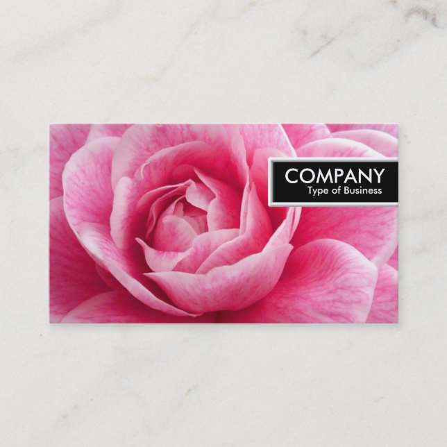 Edge-Tag - Rosa Camelia Visitenkarte (Vorderseite)