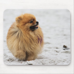 Edgrrrr #3 - Spitz Mousepad
