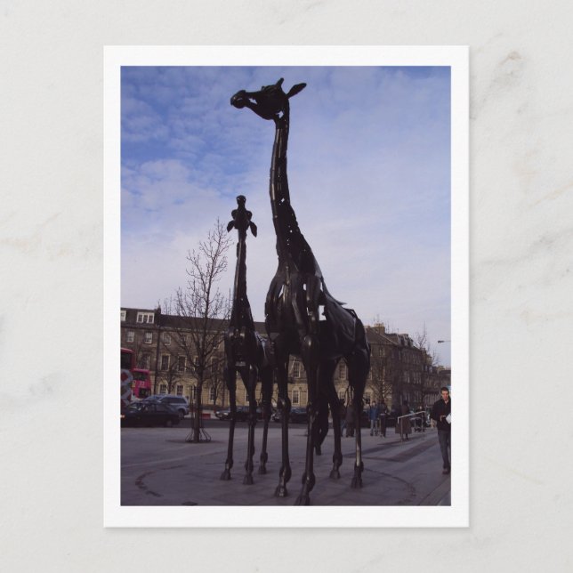 Edinburgh Giraffen Postkarte (Vorderseite)