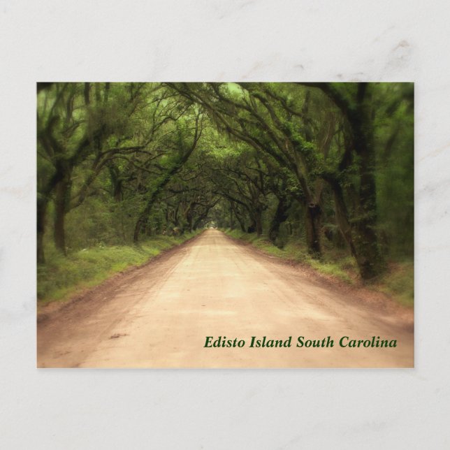 Edisto Island South Carolina - Individuell gestalt Postkarte (Vorderseite)