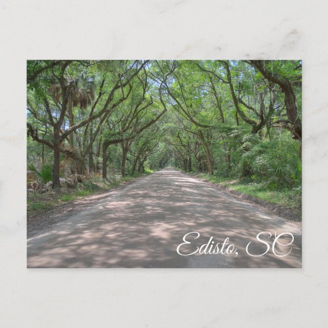 Edisto Postcard Postkarte (Vorderseite)