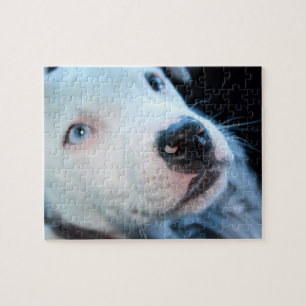Editable Baby Pitbull Weiß-Welpe Puzzle