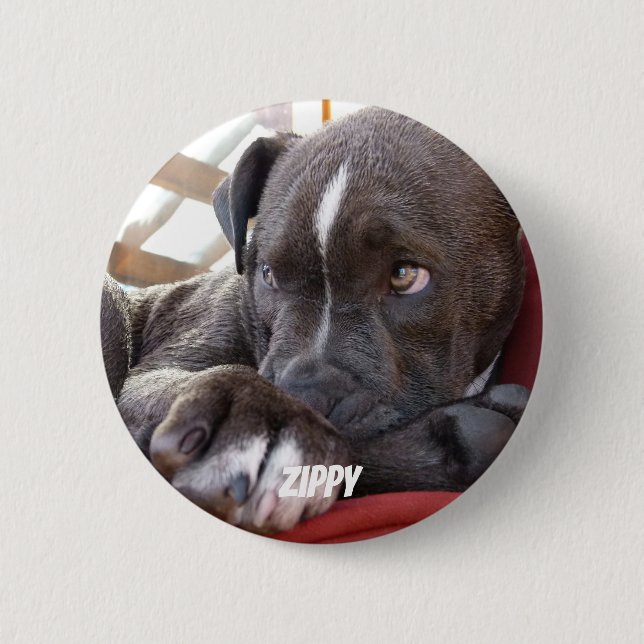 Editable Baby Pitbull Welpen Button (Vorderseite)
