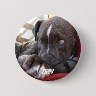 Editable Baby Pitbull Welpen Button
