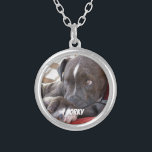 Editable Baby Pitbull Welpen Versilberte Kette<br><div class="desc">Betrachten Sie diesen entzückenden Welpen, der oben in einem Stuhl gekräuselt wird. Er schaut sicher und warm, den alle Pitbullen sollten. Wer kann diesem Gesicht widerstehen? Mit allen meinen Produkten können die Wörter und das Bild durch Ihr eigenes Welpenbild und Ihre eigenen Wörter oder den Namen des Hundes ersetzt werden....</div>
