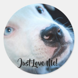 Editable Baby Pitbull White Puppy Runder Aufkleber