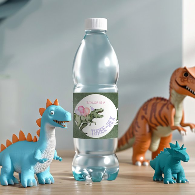 Editable Girl's Dinosaur Water Flasche Labels Wasserflaschenetikett (Von Creator hochgeladen)