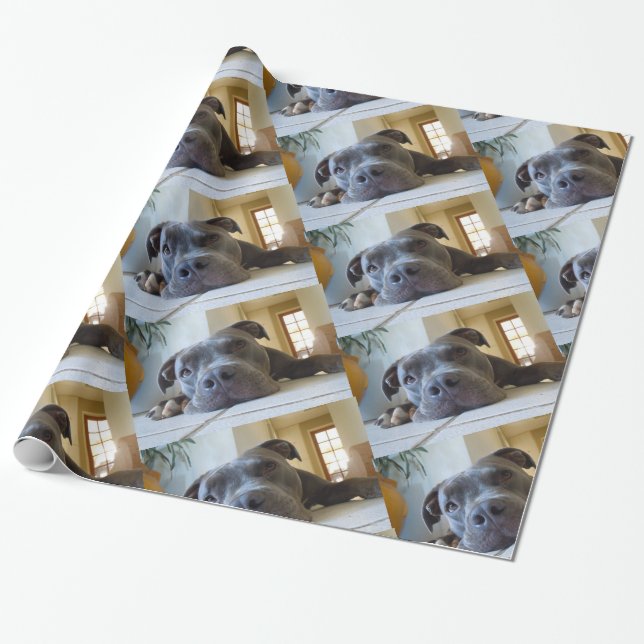Editable Hund Browns Pitbull Geschenkpapier (Ungerollt)
