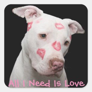 Editable Pitbull Lover Quadratischer Aufkleber
