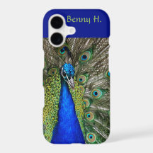 Editable Proud Peacock Blues and Grüntöne