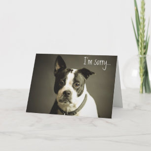 Editable Sad Hund Apology Karte