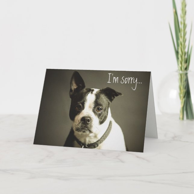 Editable Sad Hund Apology Karte (Vorderseite)