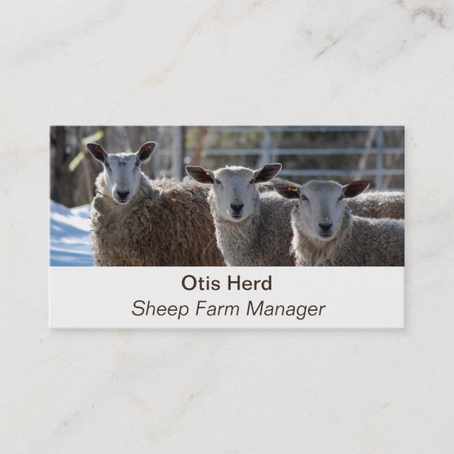 Editable Sheep Bauer Buttons Visitenkarte (Vorderseite)