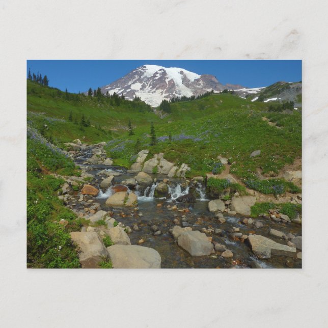 Edith Creek auf dem Monte Rainier Postkarte (Vorderseite)