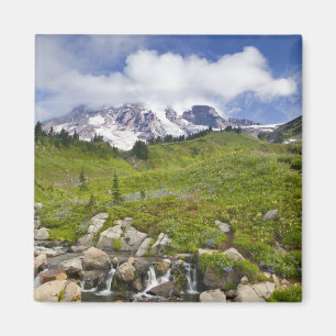 Edith Creek und Wiesen mit Wildblumen bei Paradise Magnet