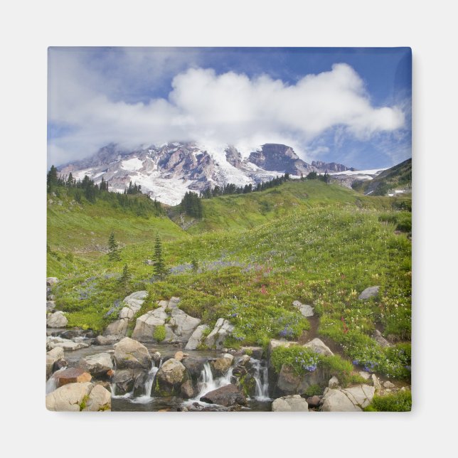 Edith Creek und Wildblume Wiesen im Paradise Magnet (Vorne)