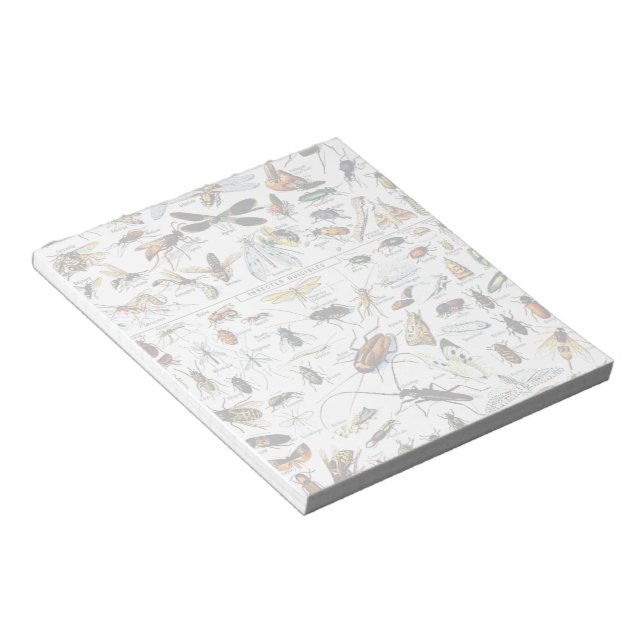 Editor für Adolphe Millot-Insekten Notizblock (angewinkelt)