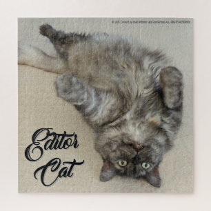 Editor Katze von RoseWrites Puzzle