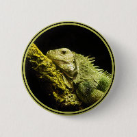 Edler Leguan-Knopf