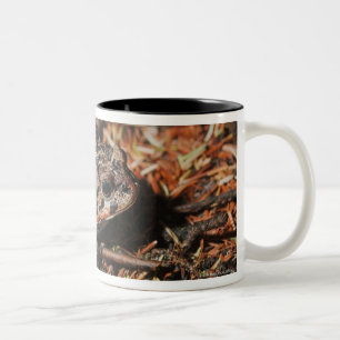 Edmonton, Alberta, Kanada 3 Zweifarbige Tasse