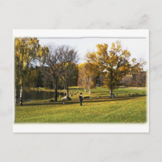 Edmonton alberta Postcard Postkarte