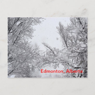 Edmonton, Alberta Winter Postkarte