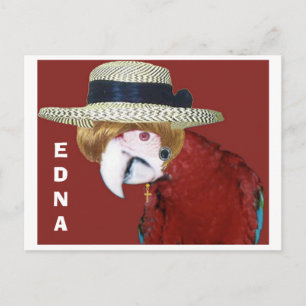 EDNA POSTKARTE