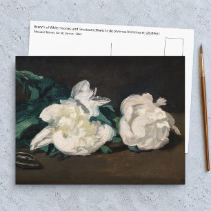 Edouard Manet - Zweig weißer Pfingstrosen, Gartens Postkarte