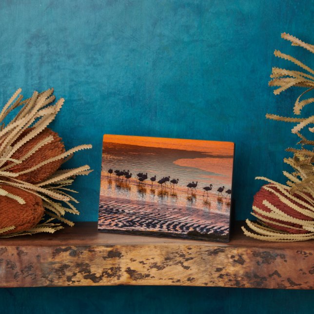 Eduardo Abaroa Andean Fauna National Reserve Fotoplatte (Seite)