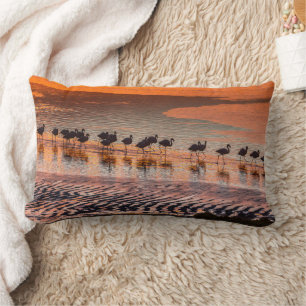 Eduardo Abaroa Andean Fauna National Reserve Lendenkissen