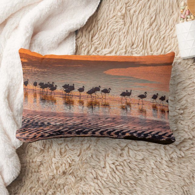 Eduardo Abaroa Andean Fauna National Reserve Lendenkissen (Decke)