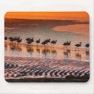 Eduardo Abaroa Andean Fauna National Reserve Mousepad