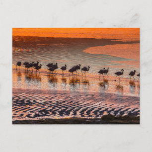 Eduardo Abaroa Andean Fauna National Reserve Postkarte