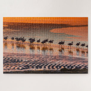 Eduardo Abaroa Andean Fauna National Reserve Puzzle