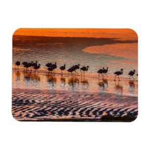 Eduardo-Abaroa-Anden-Fauna-Nationalreservat Magnet