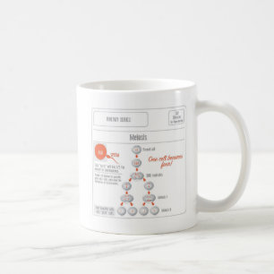 EduPaper Produkt-Mitose-und Tasse