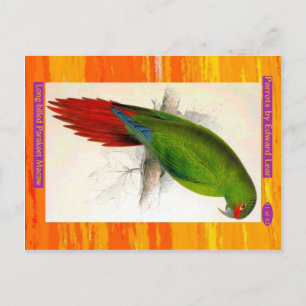 Edward Lear. Langschnabeles Parakeet Macaw. Postkarte