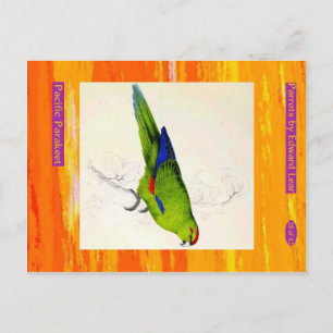 Edward Lear. Pacific Parakeet. Postkarte