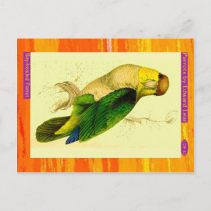 Edward Lear. Papagei. Postkarte