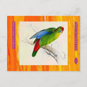 Edward Lear. Paraket mit roter Front. Postkarte