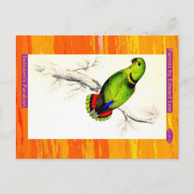 Edward Lear. Swindern's Parakeet. Postkarte (Vorderseite)