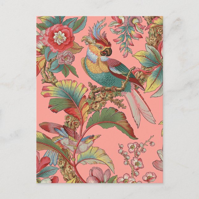 Edwardian Parrot ~ Duchess Postkarte (Vorderseite)