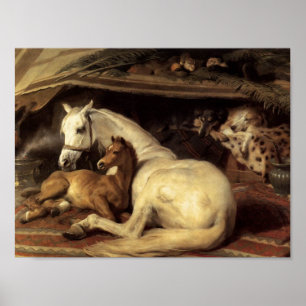 Edwin Henry Landseer  Arabischer Zaun Poster