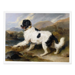 Edwin Henry Landseer Lion A Neufundland Hund Fotodruck